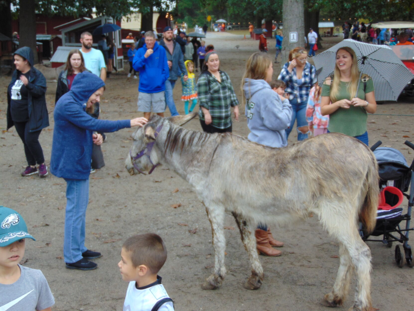 Farm gallery 23.JPG